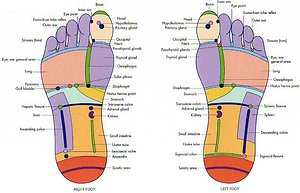 About Reflexology. Foot Map